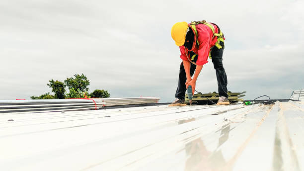 Best Green or Eco-Friendly Roofing Solutions  in Dilworth, MN